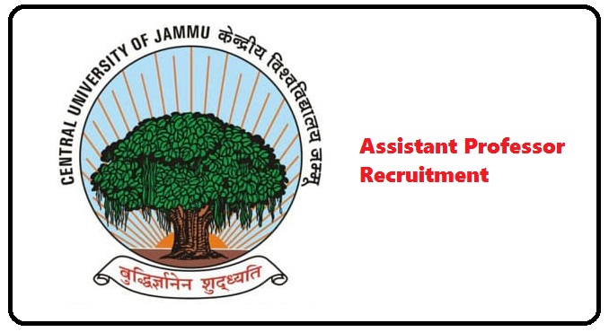 Assistant Professor Recruitment at Cluster University of Jammu. Posts for all streams