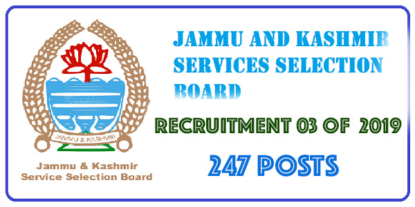 JKSSB Mega Recruitment 03 of 2019 | 247 Posts Advertised