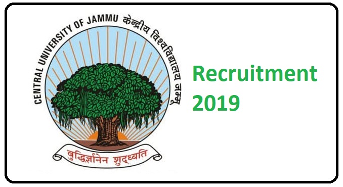 wsi imageoptim Central University of Jammu logo Central University of Jammu Recruitment 2019 - Various Posts