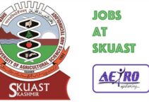 SKUAST Kashmir Consultant Jobs